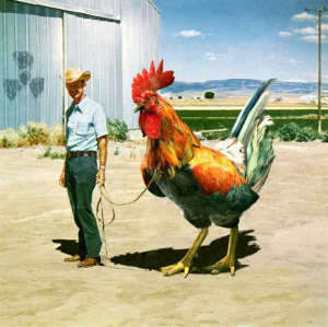 Giant-Chicken-with-Farmer