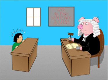 pig judge